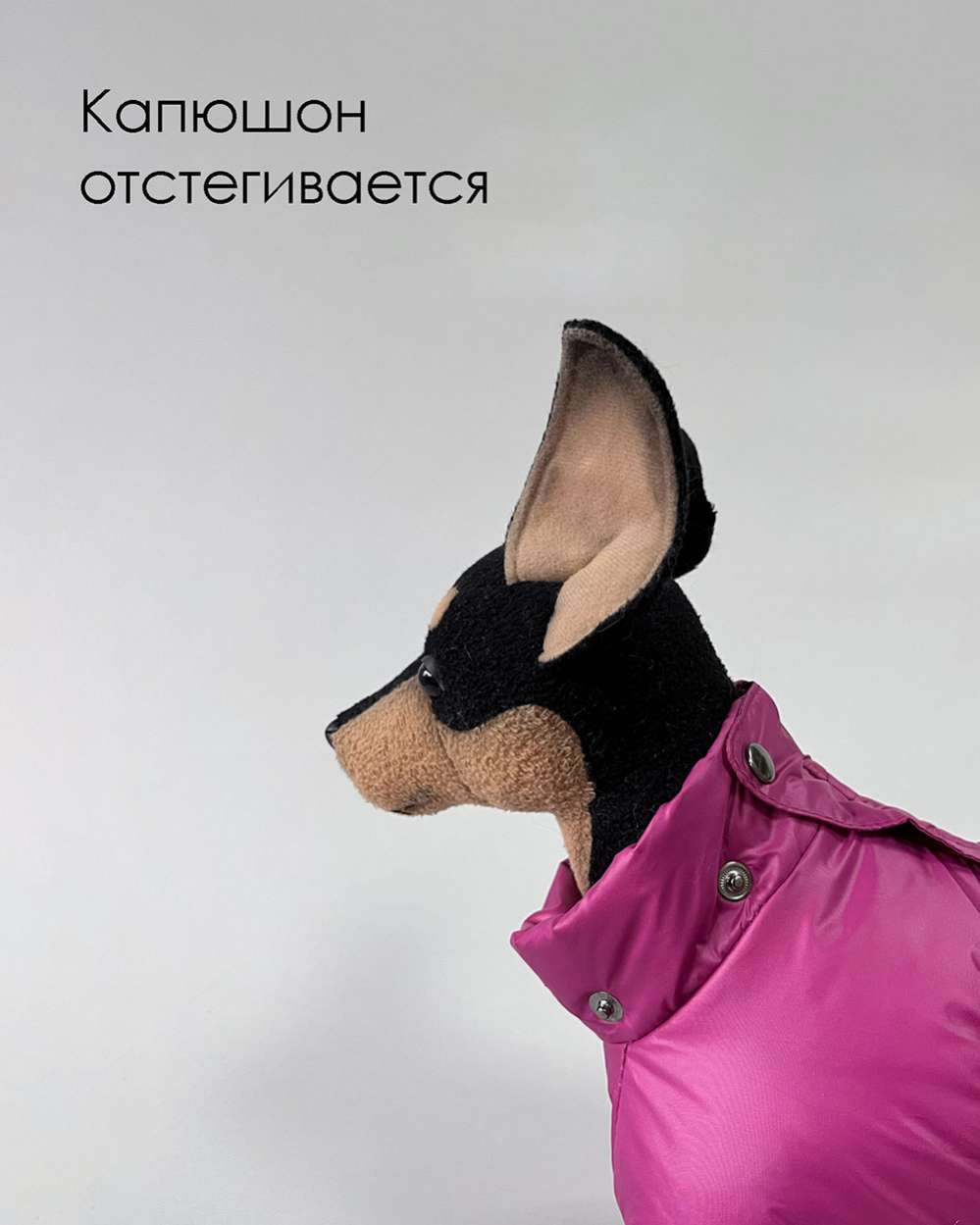 Зимний комбинезон для собак Северное сияние Малина