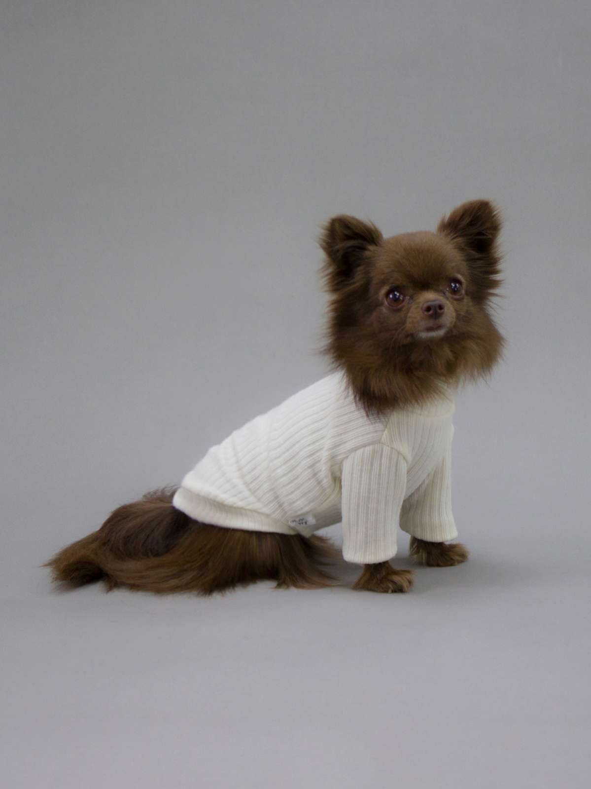 Свитшот для собак Puffy Лапша молочный