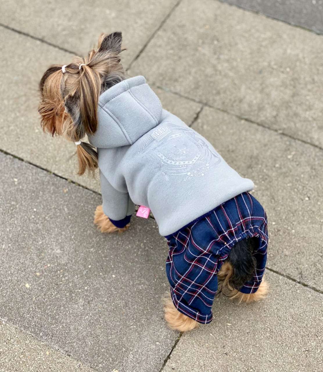 Толстовка для собак с капюшоном Premium Герб