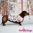Комбинезон для таксы и корги ForMyDogs Аисты