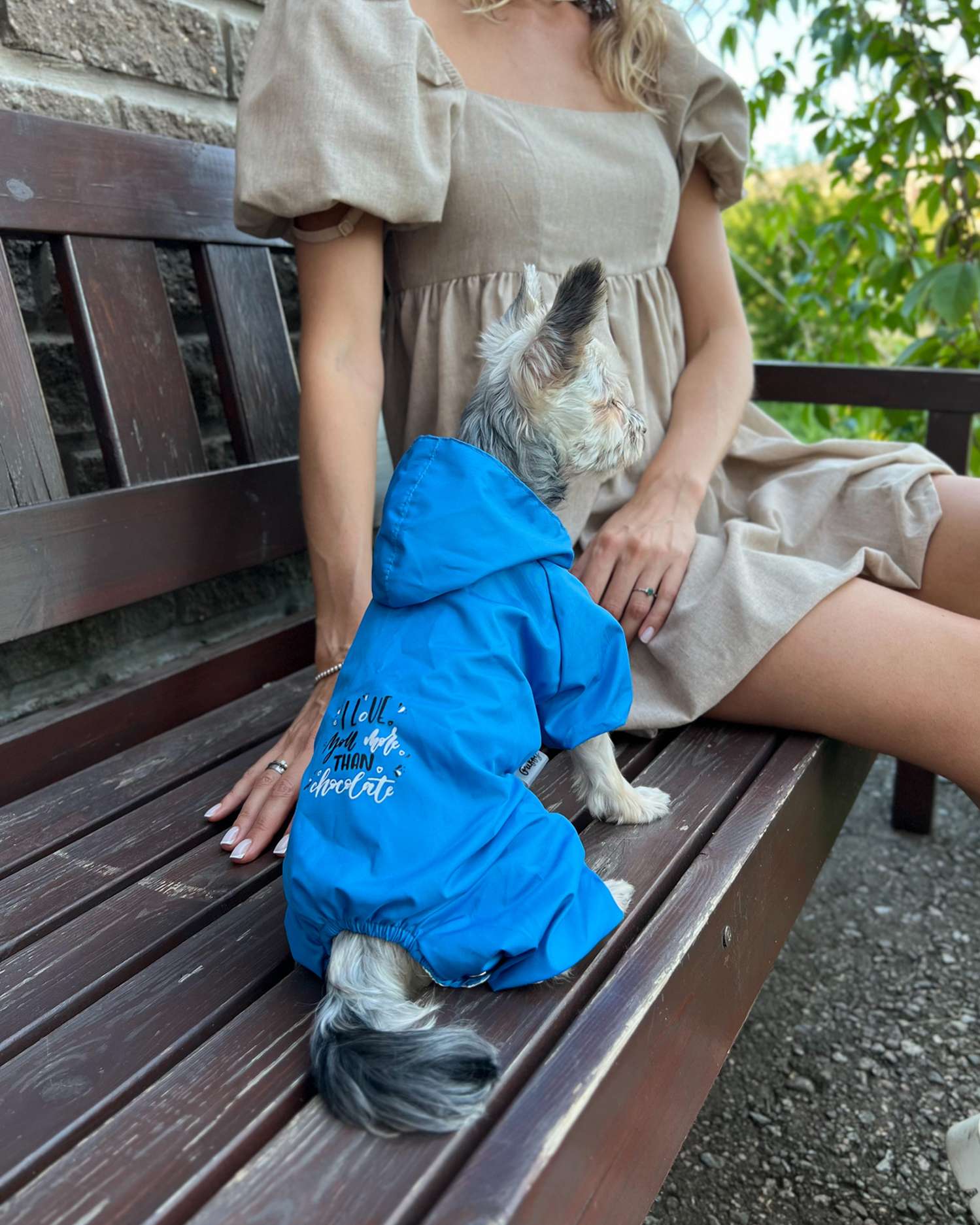 Дождевик для собаки Puffy Шоколад голубой