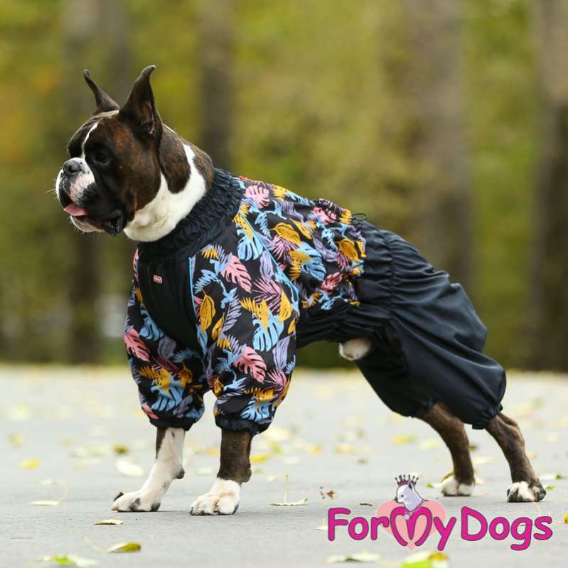 Комбинезон для собак на широкую грудь ForMyDogs Папоротник