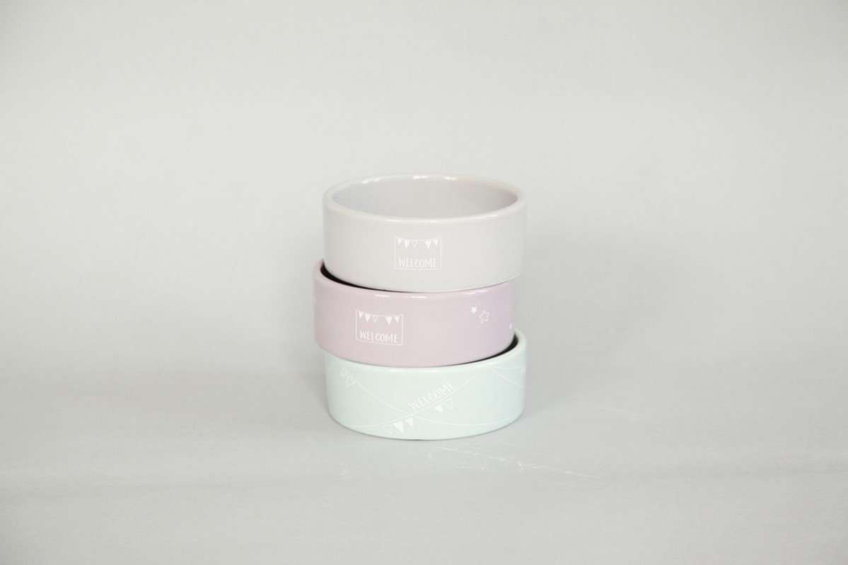 Миска для собак Зверята