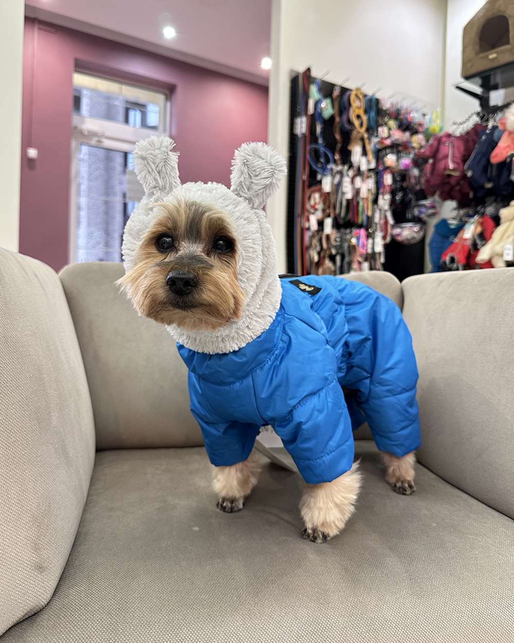 Зимний комбинезон для собак Puffy Айвенго голубой