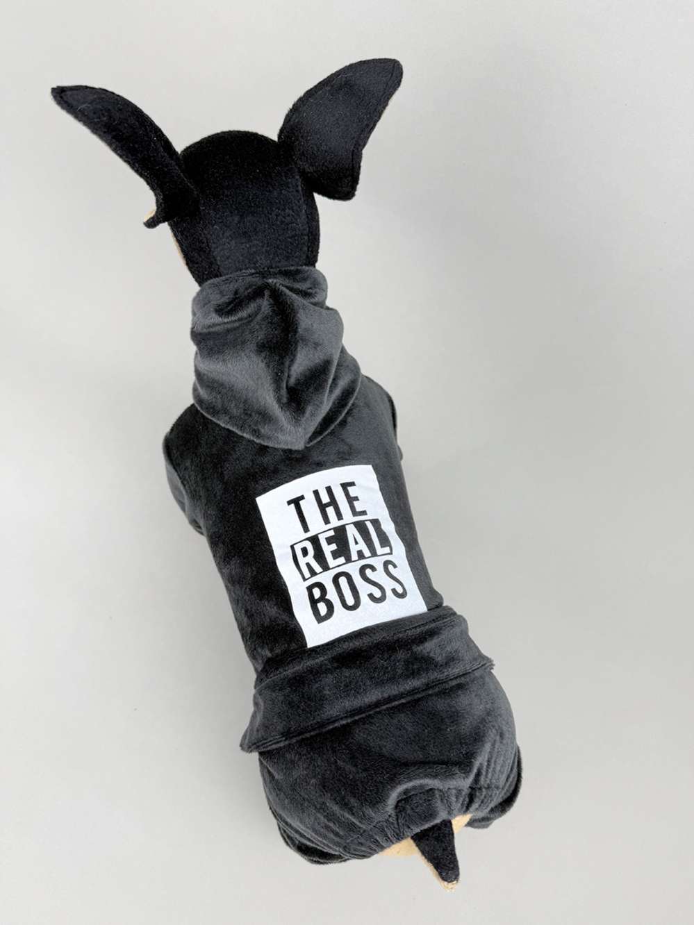 Велюровый костюм Puffy Босс