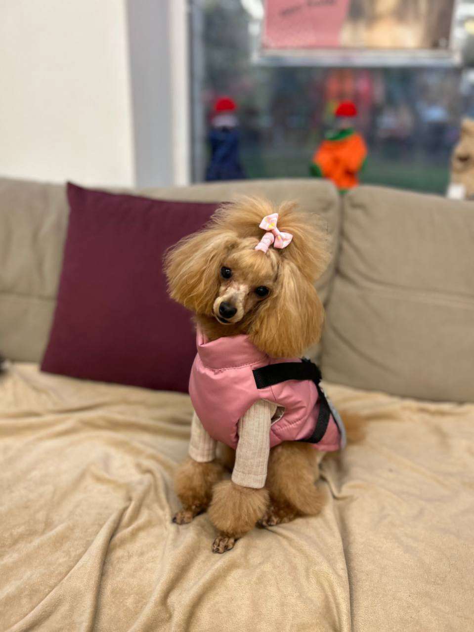 Костюм-боди для собак Puffy Лапша Латте