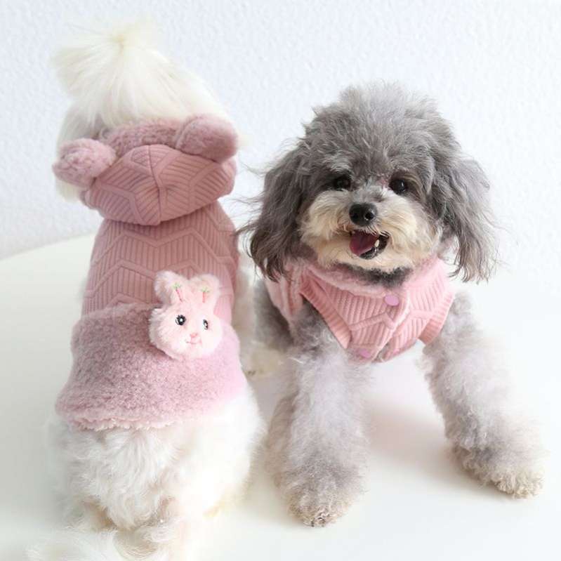 Жилет для собаки трикотажный Pet Лапочка