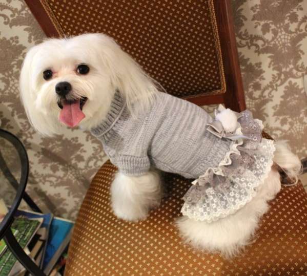 Шерстяное платье для собак Puffy Грейси