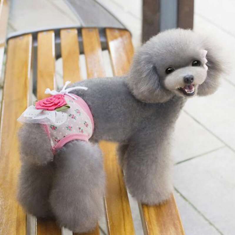 Трусики для собак гигиенические Роза (3 цвета)