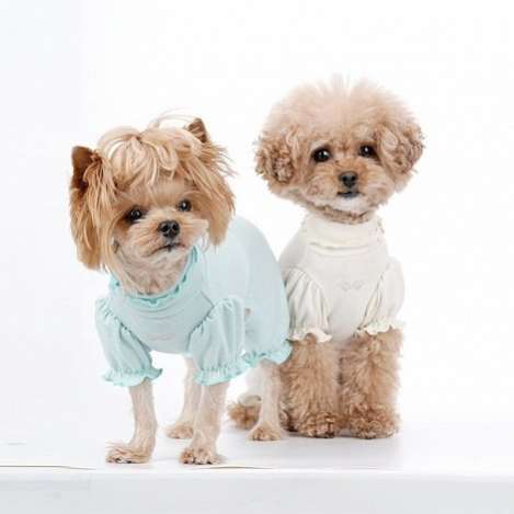 Костюм для собак трикотажный PA Валери