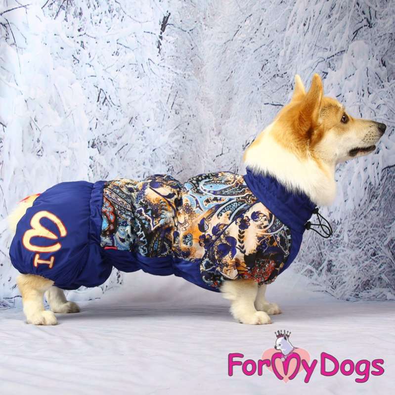 Комбинезон для таксы и корги ForMyDogs Цветник