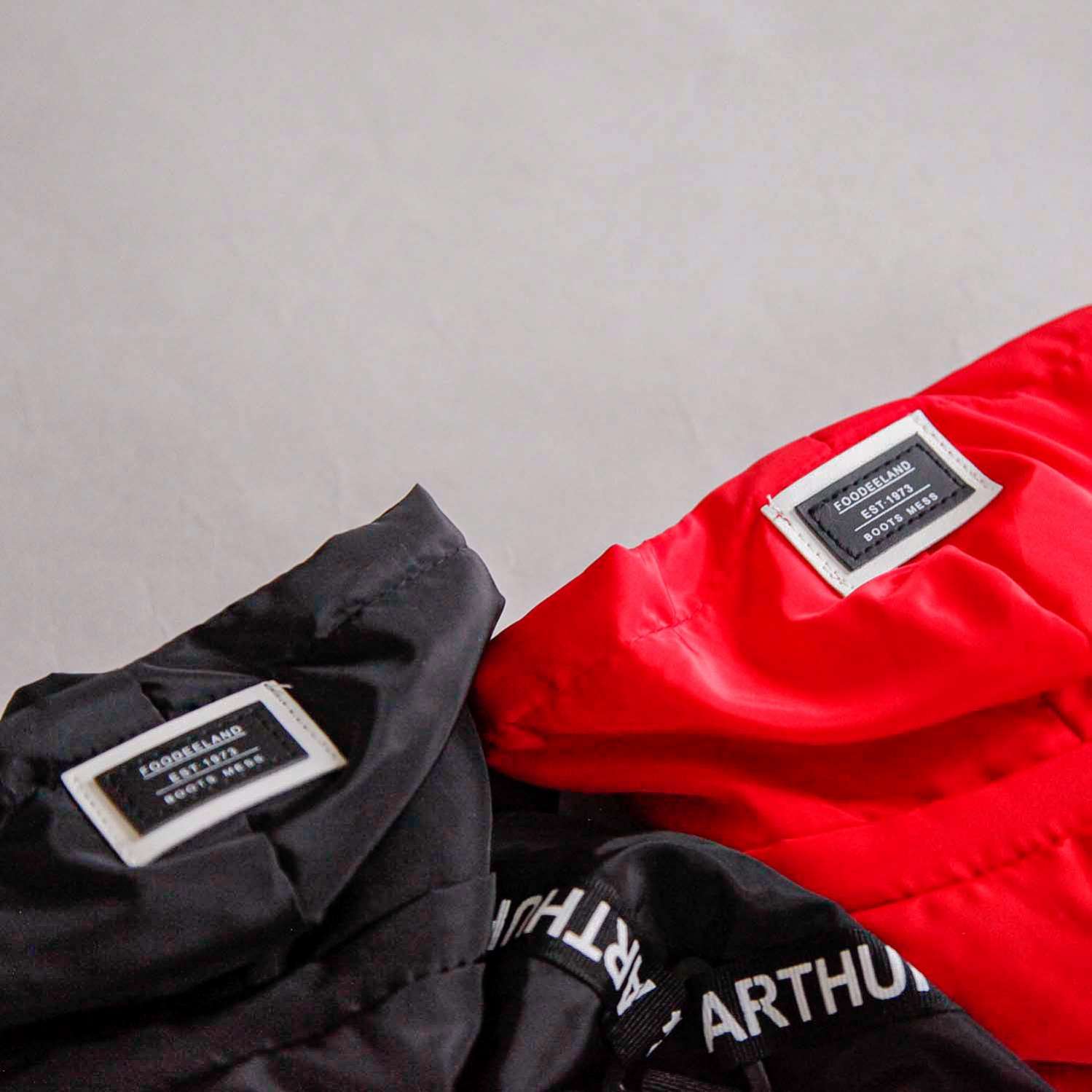 Дождевик для собаки утепленный Pet Мемори