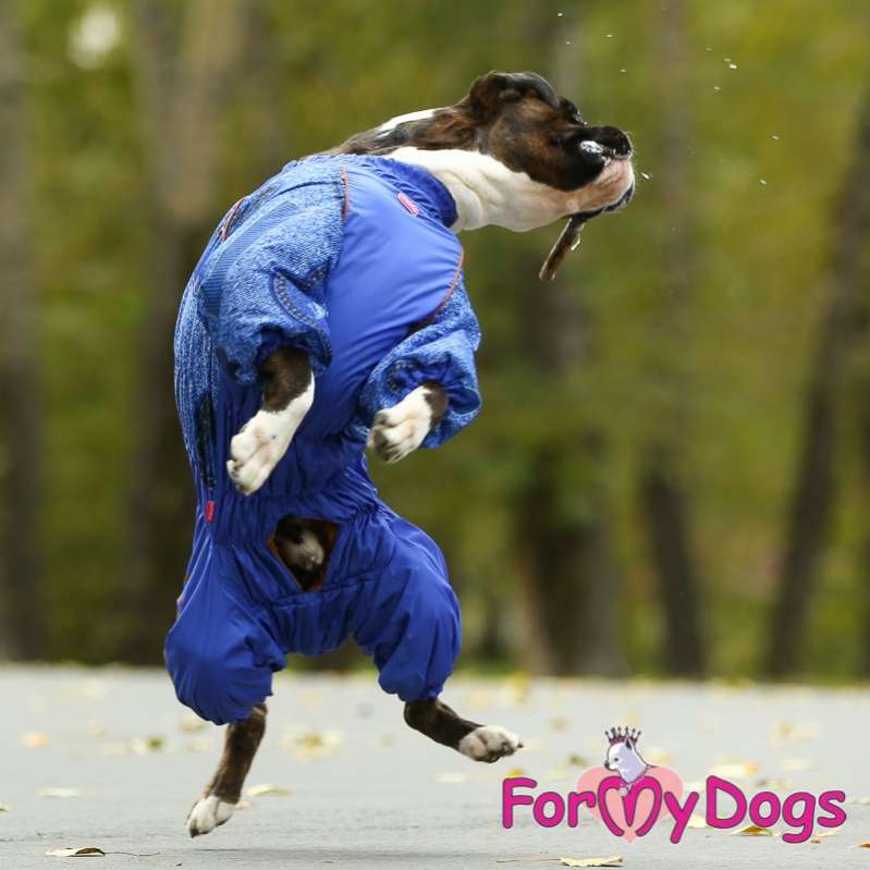 Комбинезон для собак средних и крупных пород ForMyDogs Blue