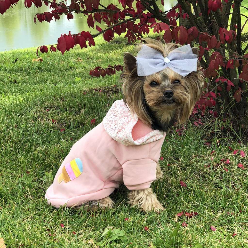 Толстовка для собак Pet Мороженое