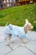 Костюм для собак плюшевый Pet Фанни