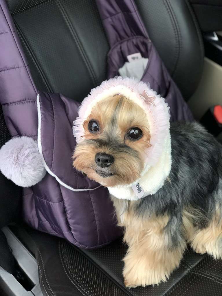 Шапка для собак Капор Puffy Фея