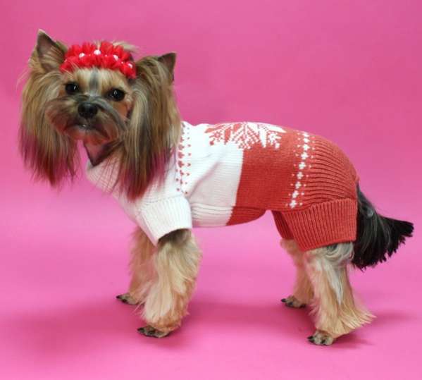 Шерстяной костюм для собак Звездочка