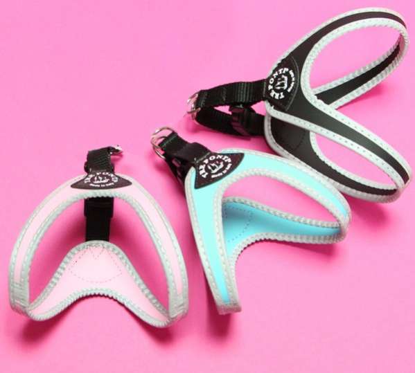 Шлейка для собак Практиш с застежкой