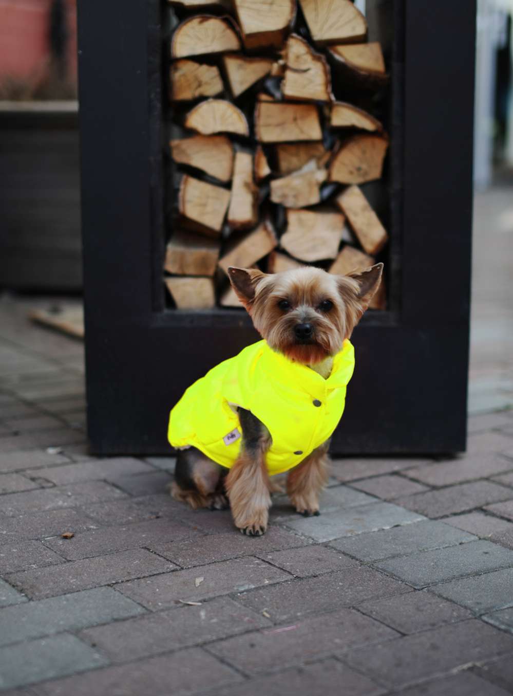 Жилетка для собаки Puffy Рич лимонная