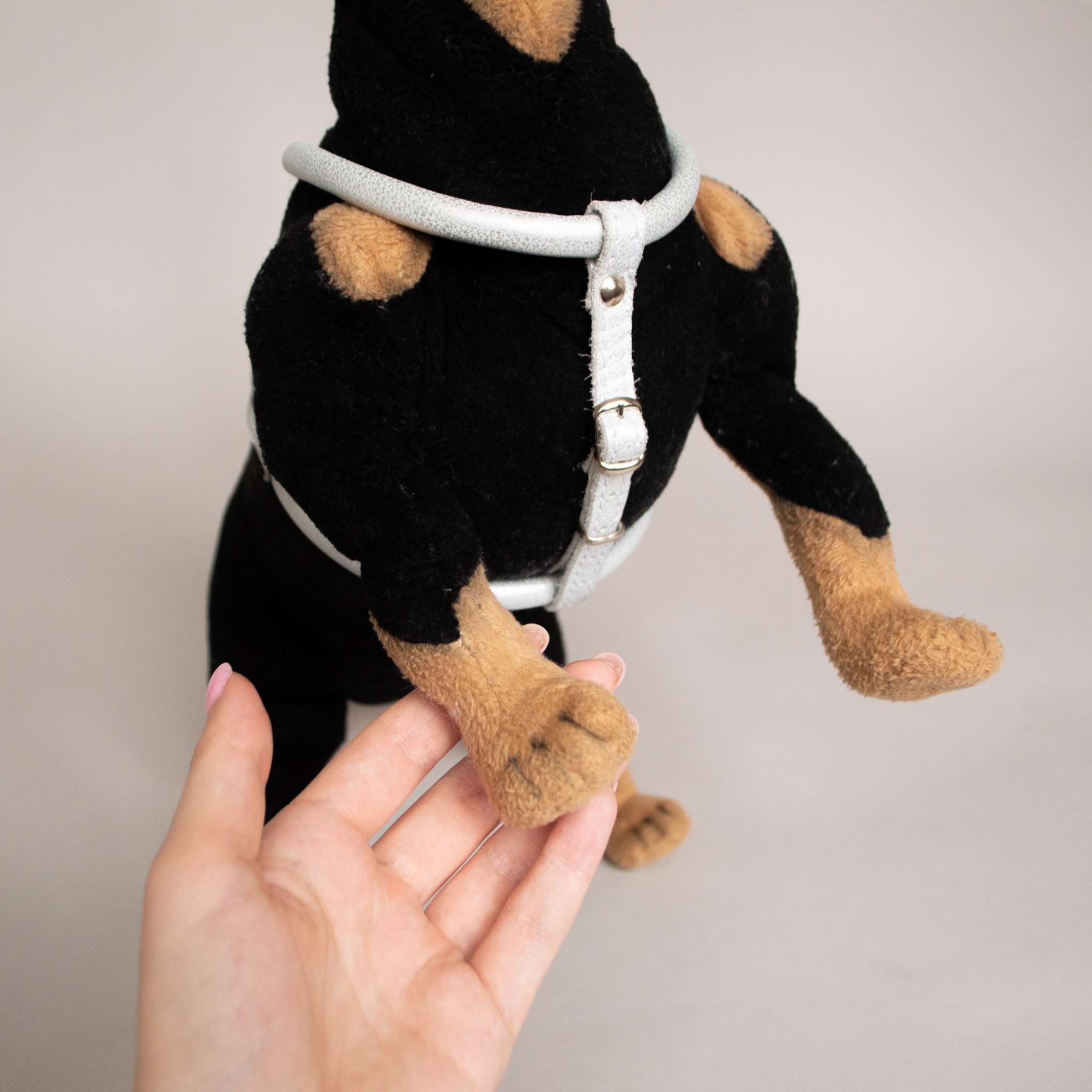 Кожаная шлейка для собак круглая для шпица