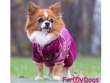 Комбинезон для собак ForMyDogs Лотос