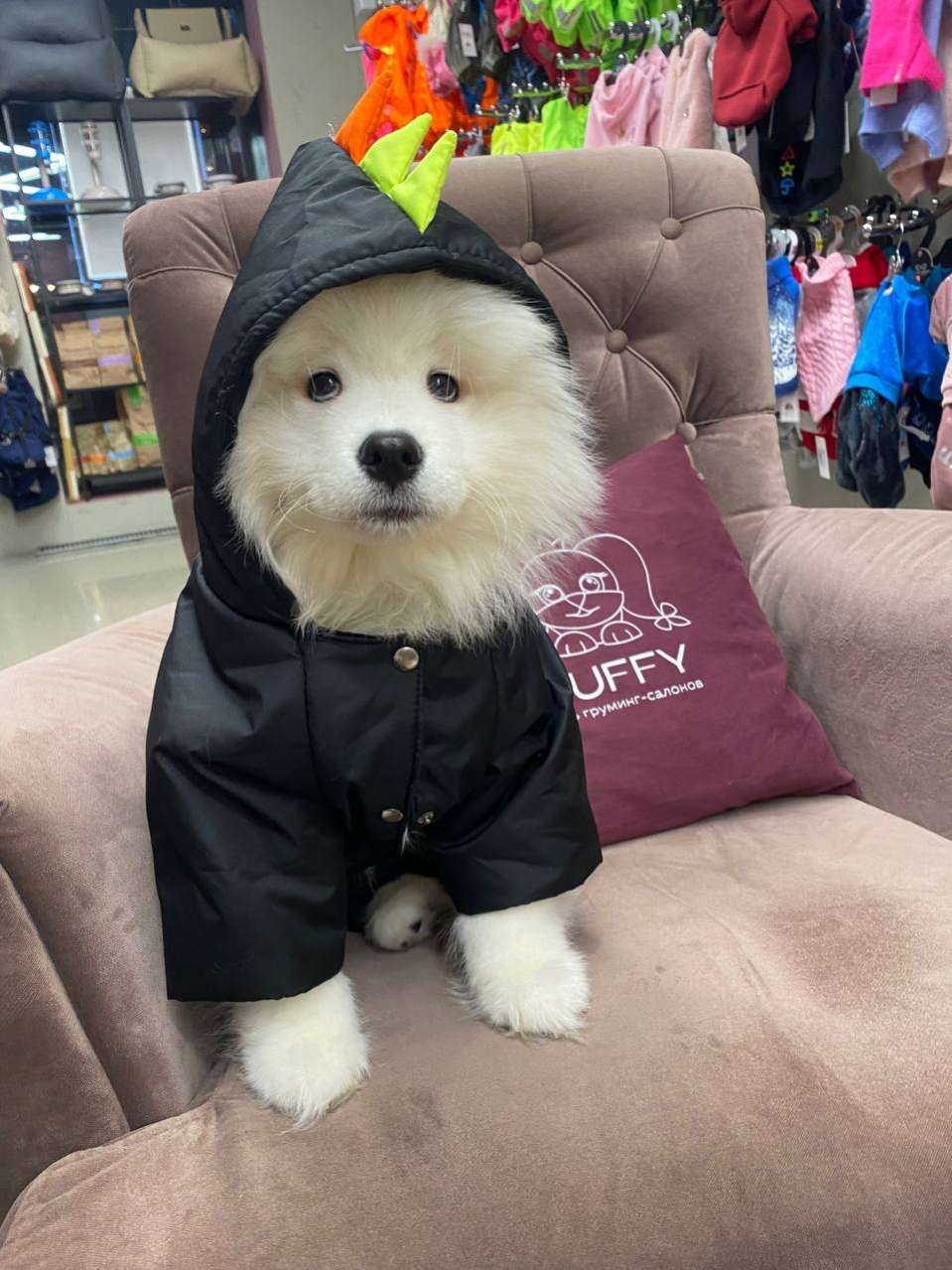 Жилет для собаки утепленный Puffy Дино Черный