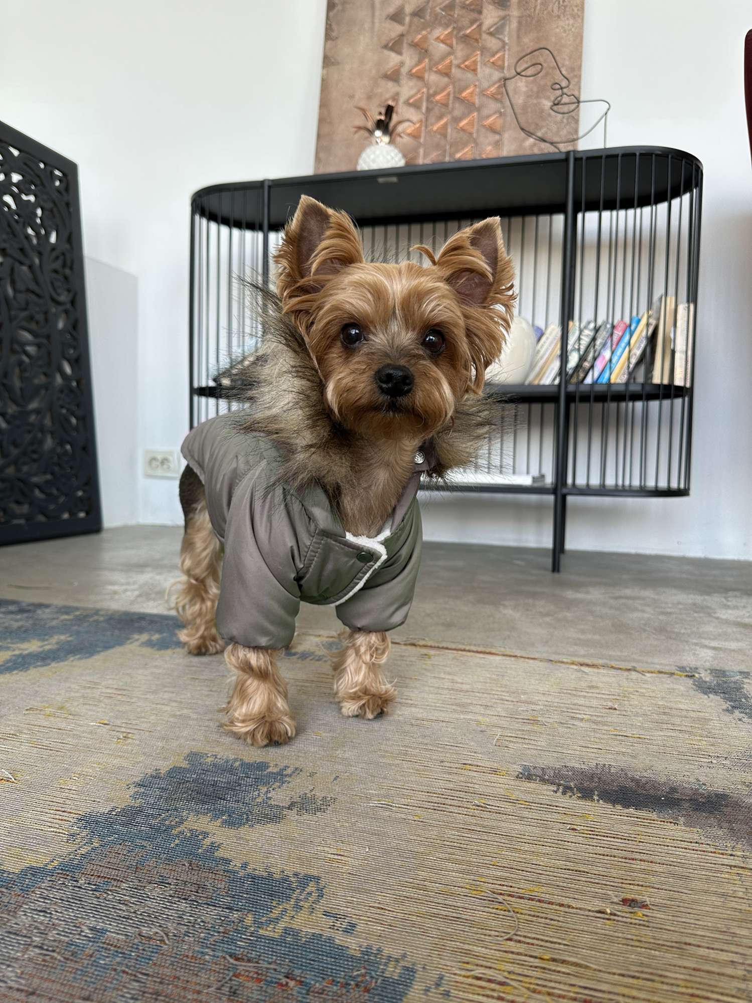 Парка Puffy Спайк Хаки