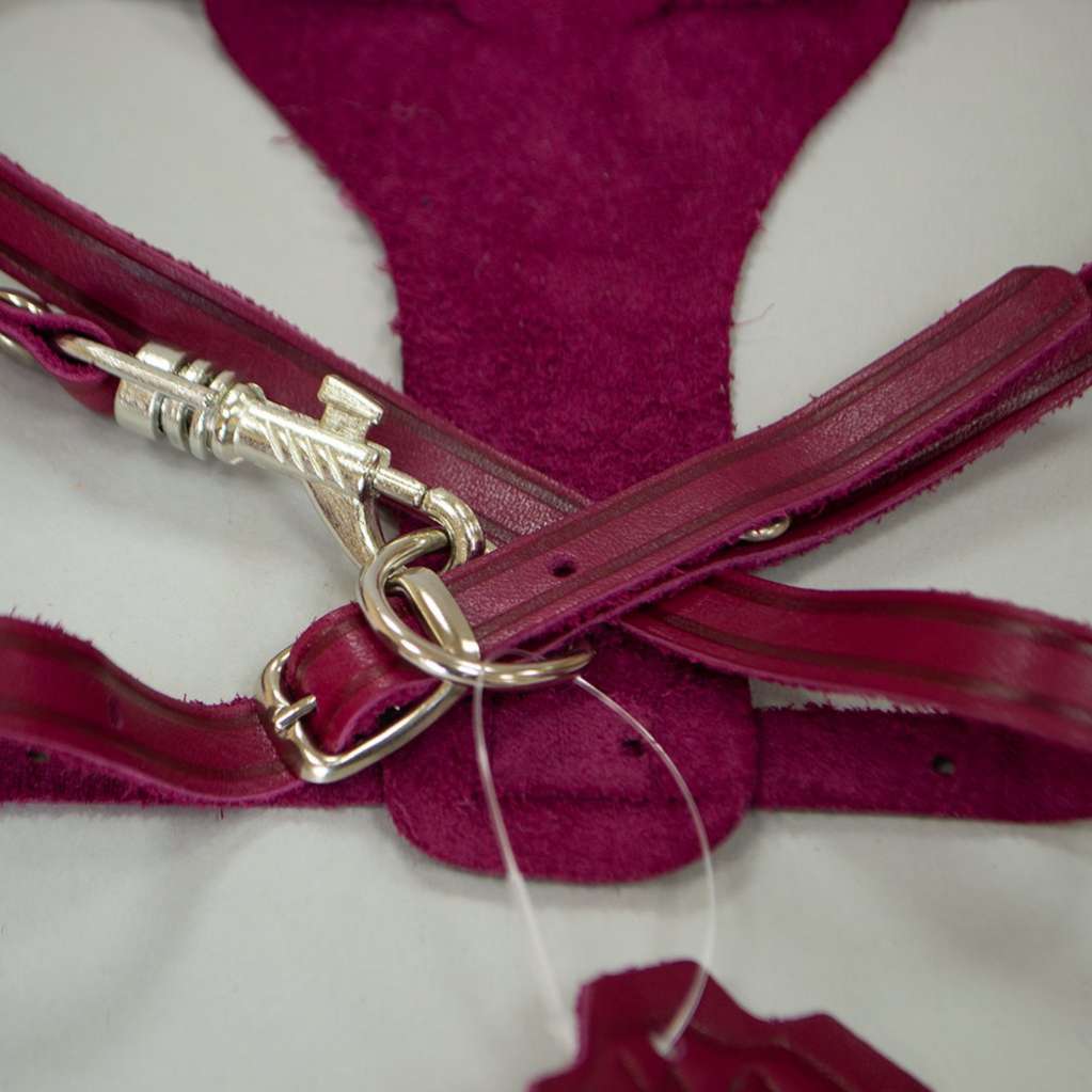 Кожаная шлейка с поводком для собак