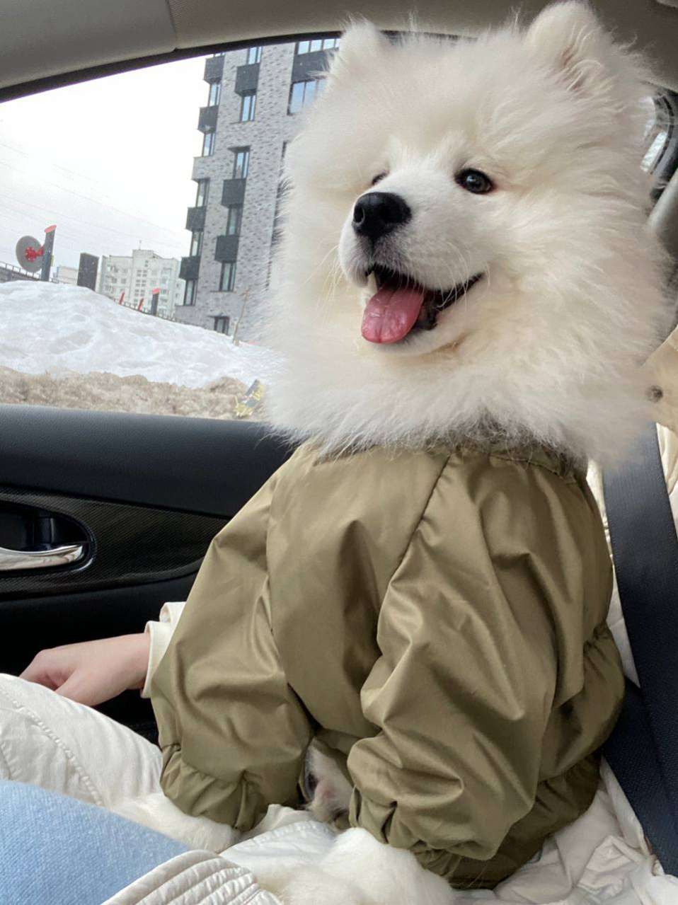 Утепленный дождевик Puffy для мопсов и бульдогов хаки