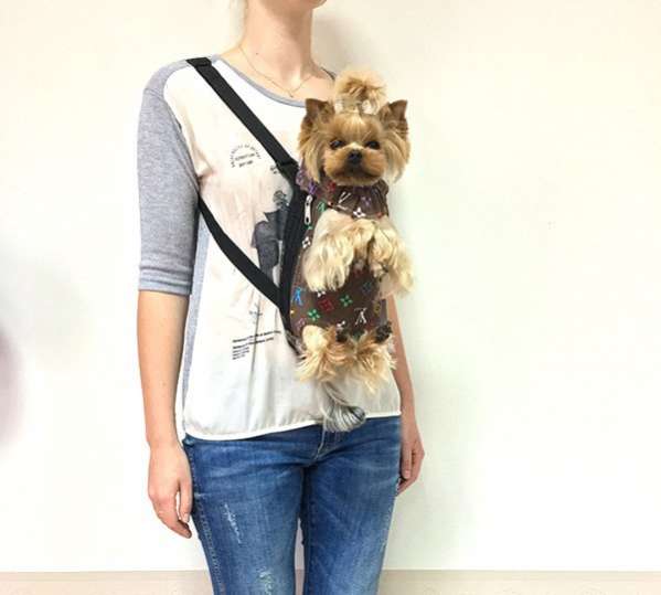 Рюкзак для собак на 4 лапы