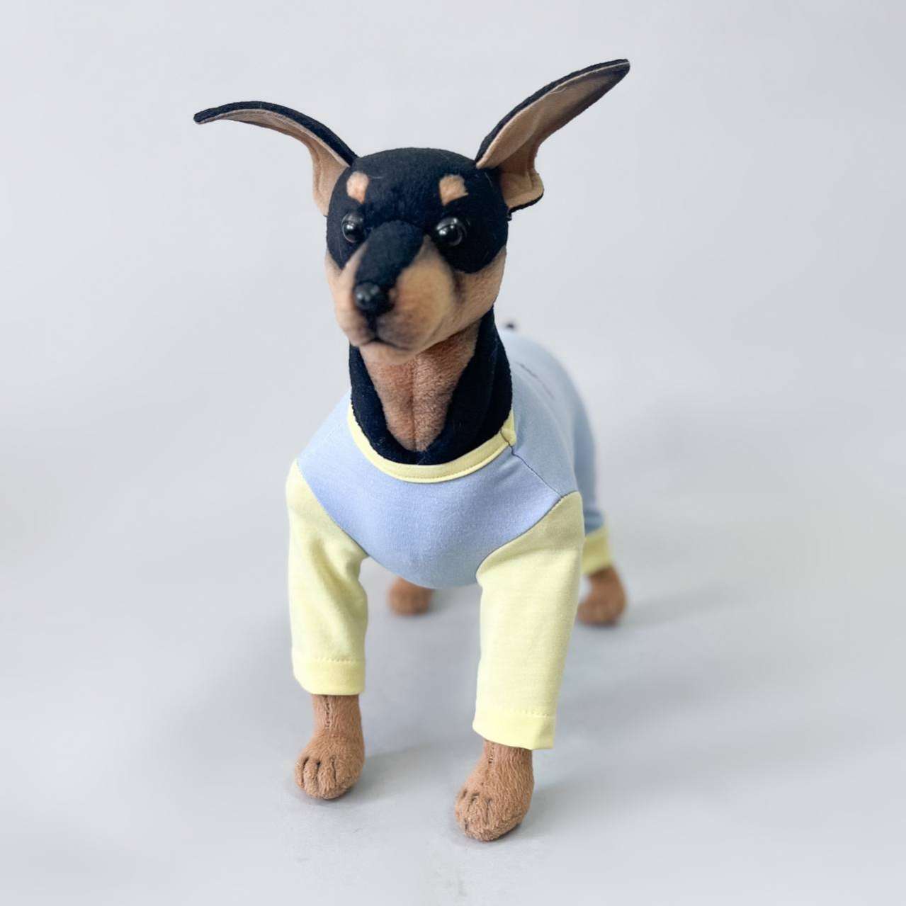 Пыльник для собак трикотажный Puffy Краски