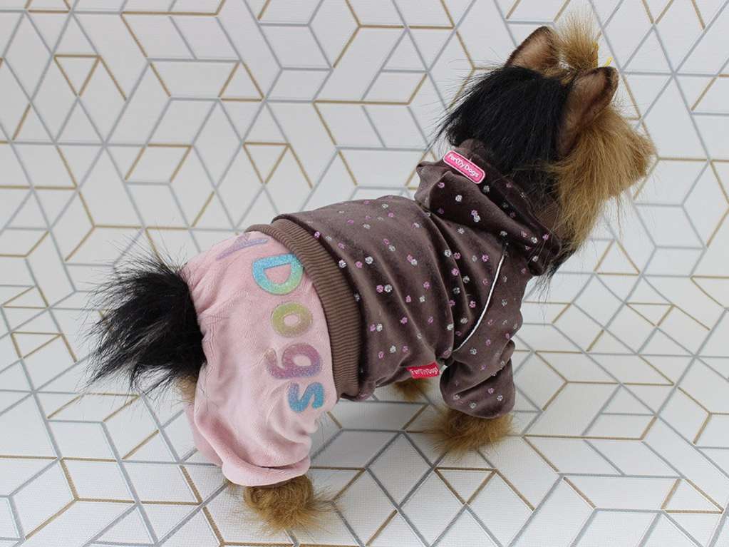 Костюм для собак велюровый ForMyDogs Конфетти