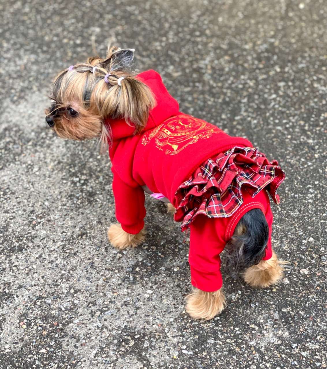 Толстовка для собак с капюшоном Premium Герб