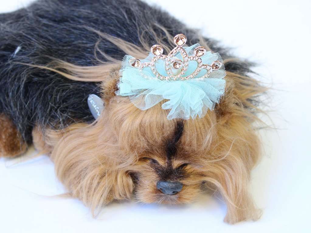 Заколка для собак Страна чудес