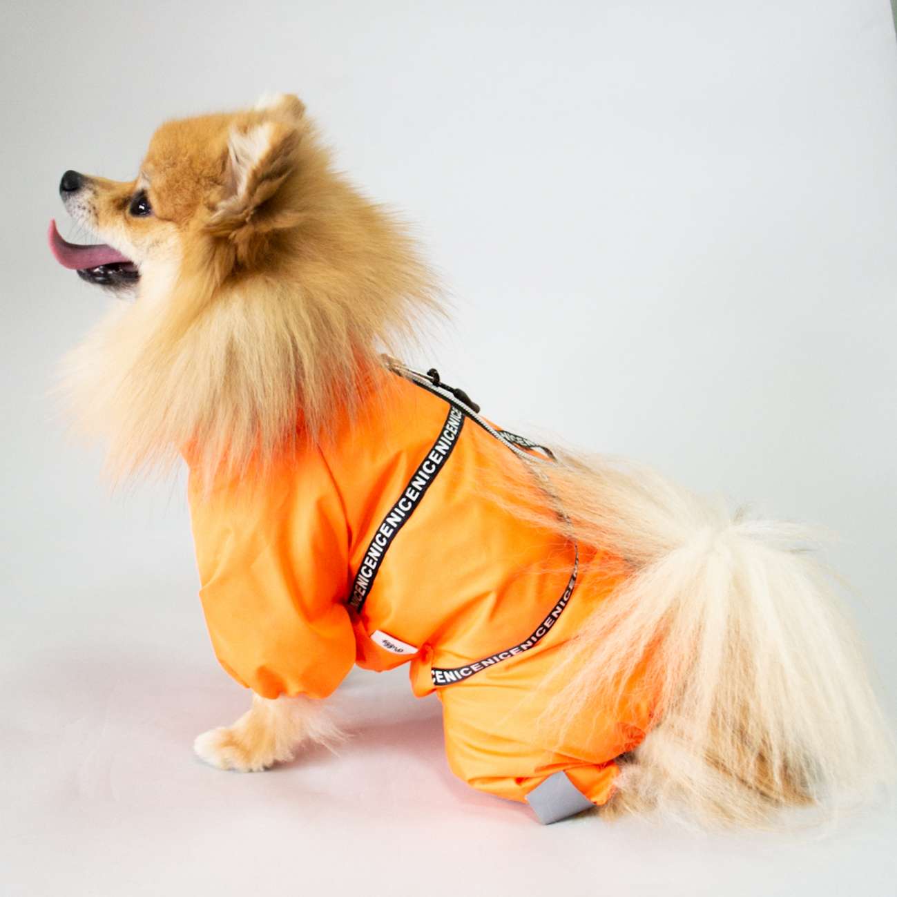 Дождевик для собаки Puffy Найс