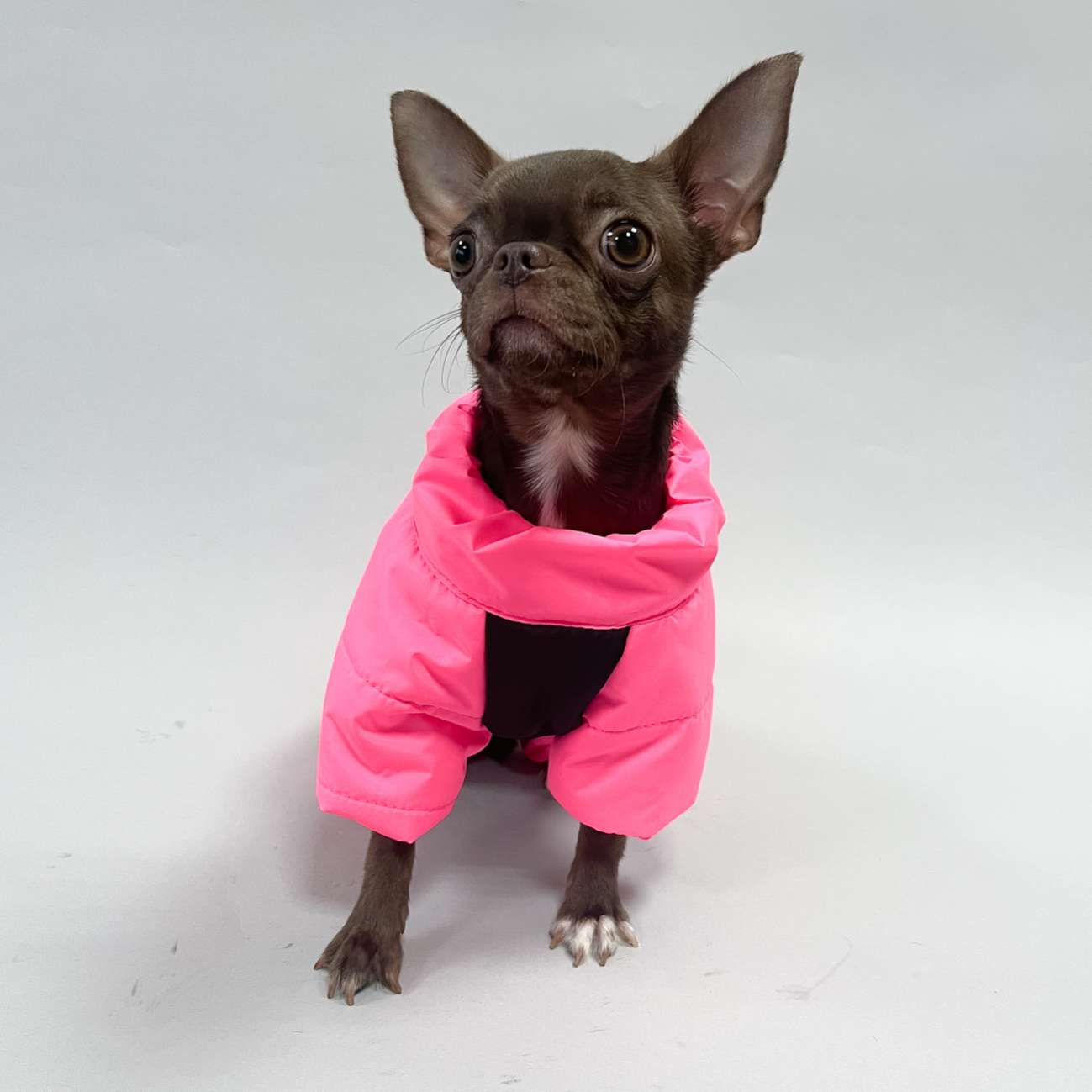 Комбинезон для собак Puffy Тигон