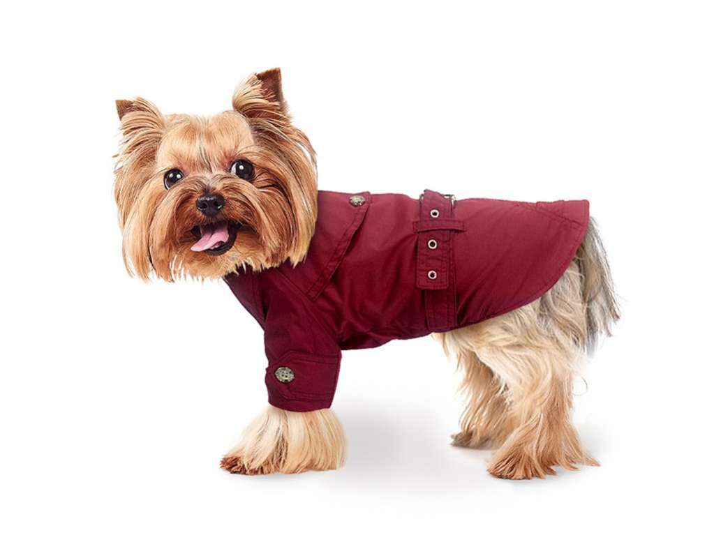 Тренч для собак Шерлок