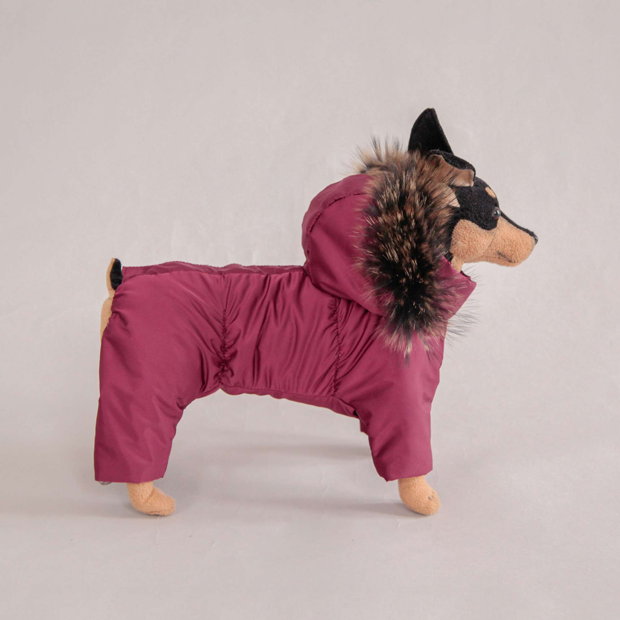 Комбинезон для собак Северное сияние Бургунди на шелке