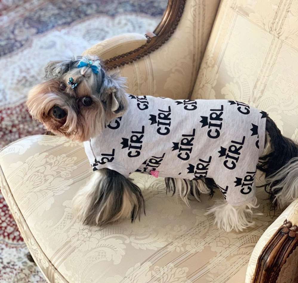 Пижама для собак Premium B&G