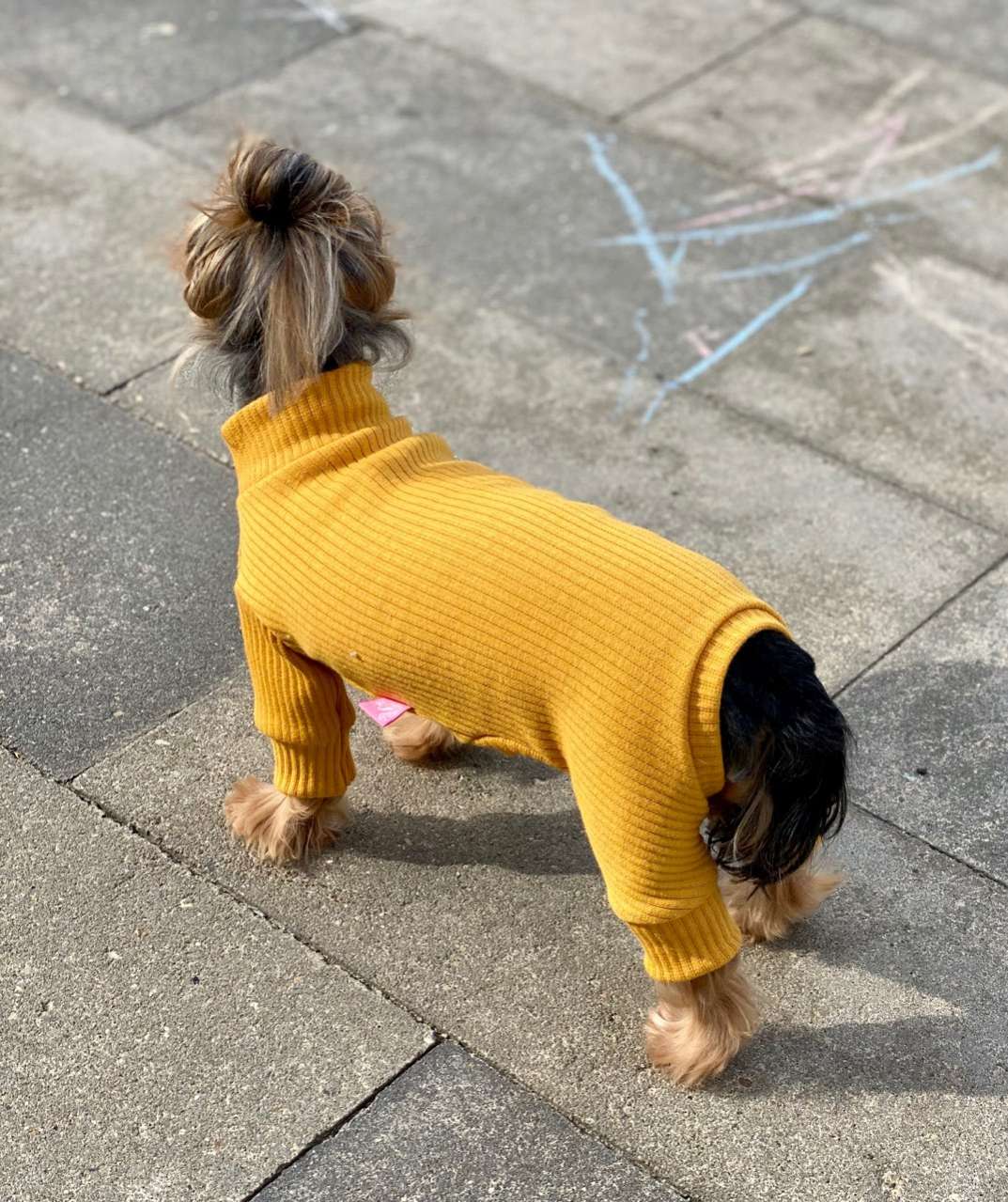 Костюм для собак трикотажный Premium Лапша