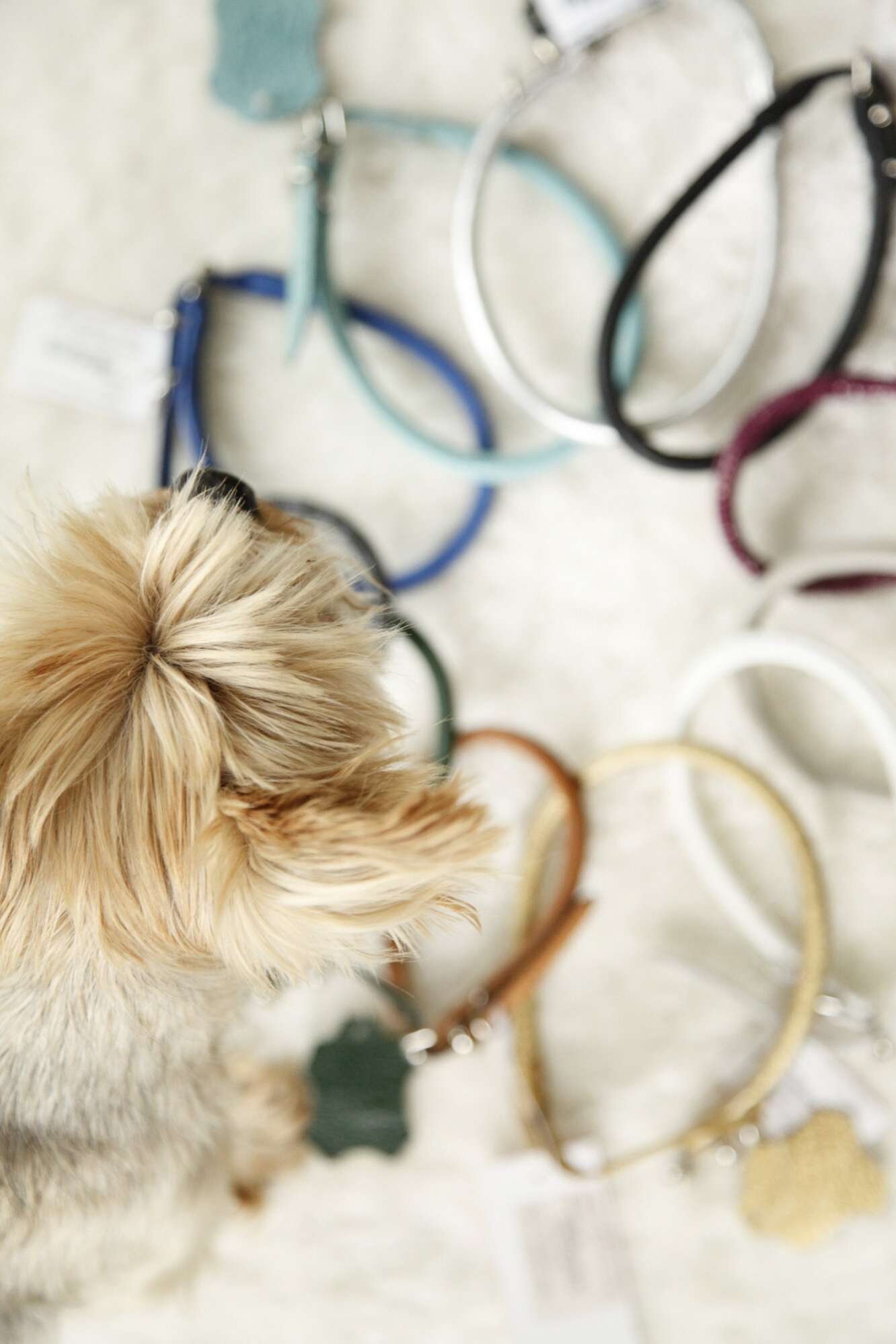 Круглый кожаный ошейник для собак