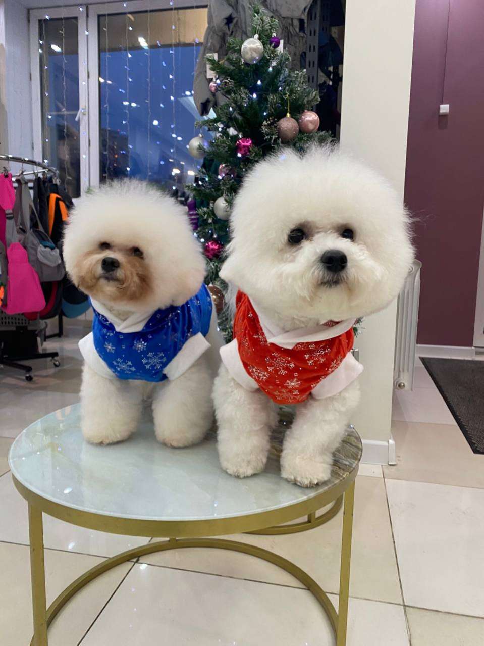 Новогодняя толстовка для собак Puffy Снежинка синяя