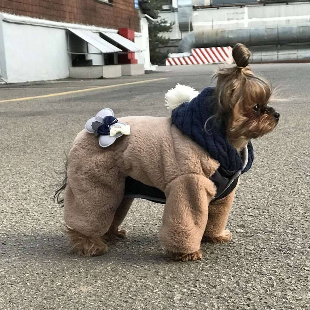 Комбинезон для собак шубка Premium Лепестки