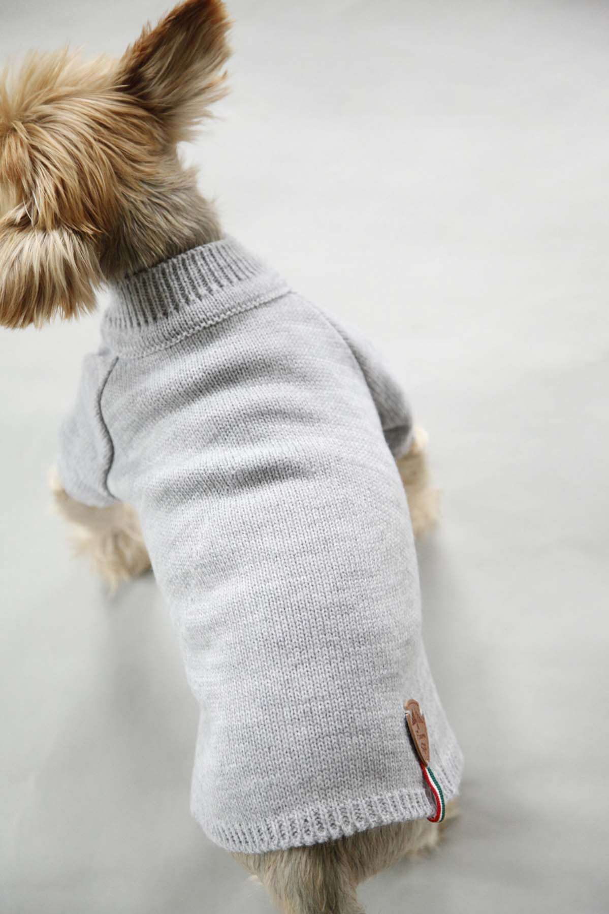 Свитер для собак Турин