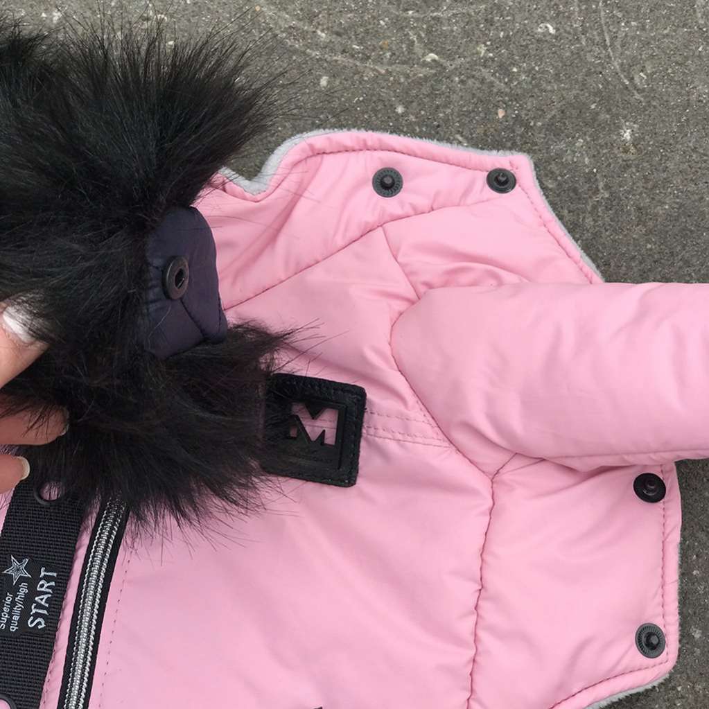 Куртка для собаки Фешн