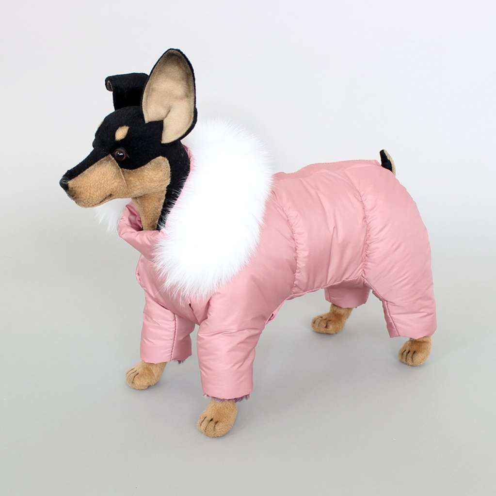 Комбинезон для собак Северное сияние Пудра