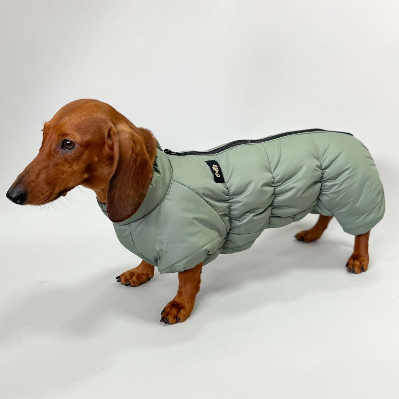 Комбинезон для таксы и корги Puffy Айвенго Черный
