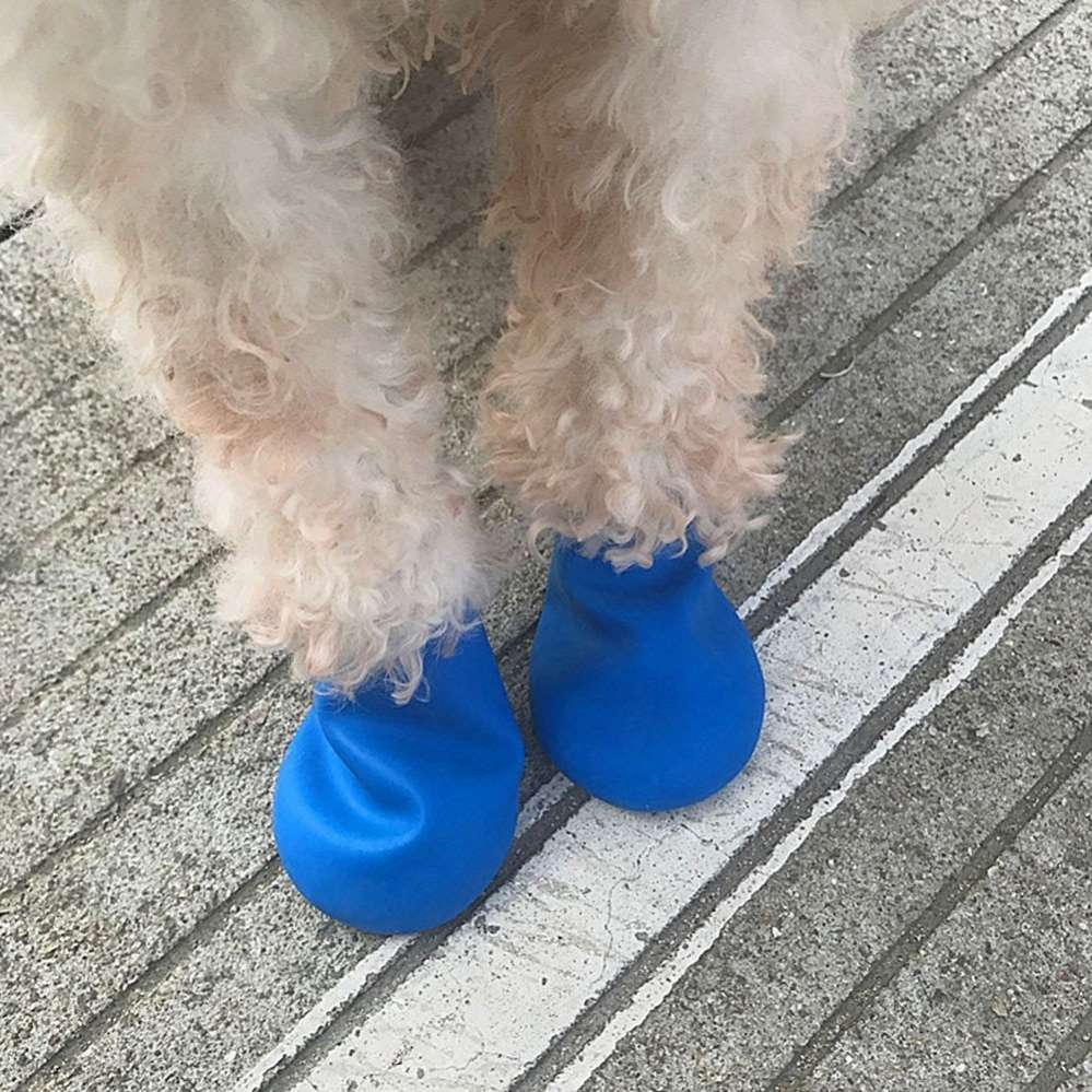 Носки для собак прорезиненные Pet Шарики