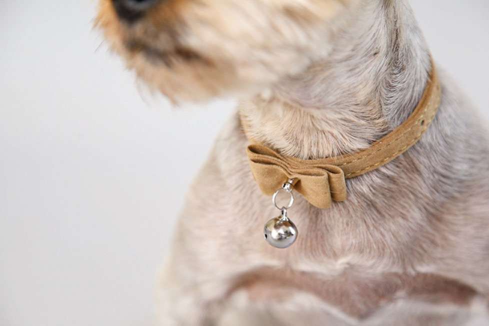 Ошейник для собак Pet Бантик-бубенчик