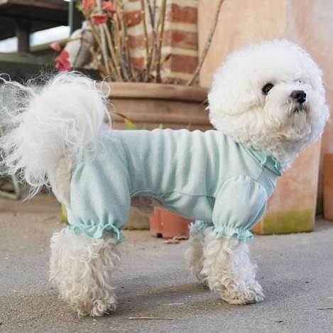 Костюм для собак трикотажный PA Валери